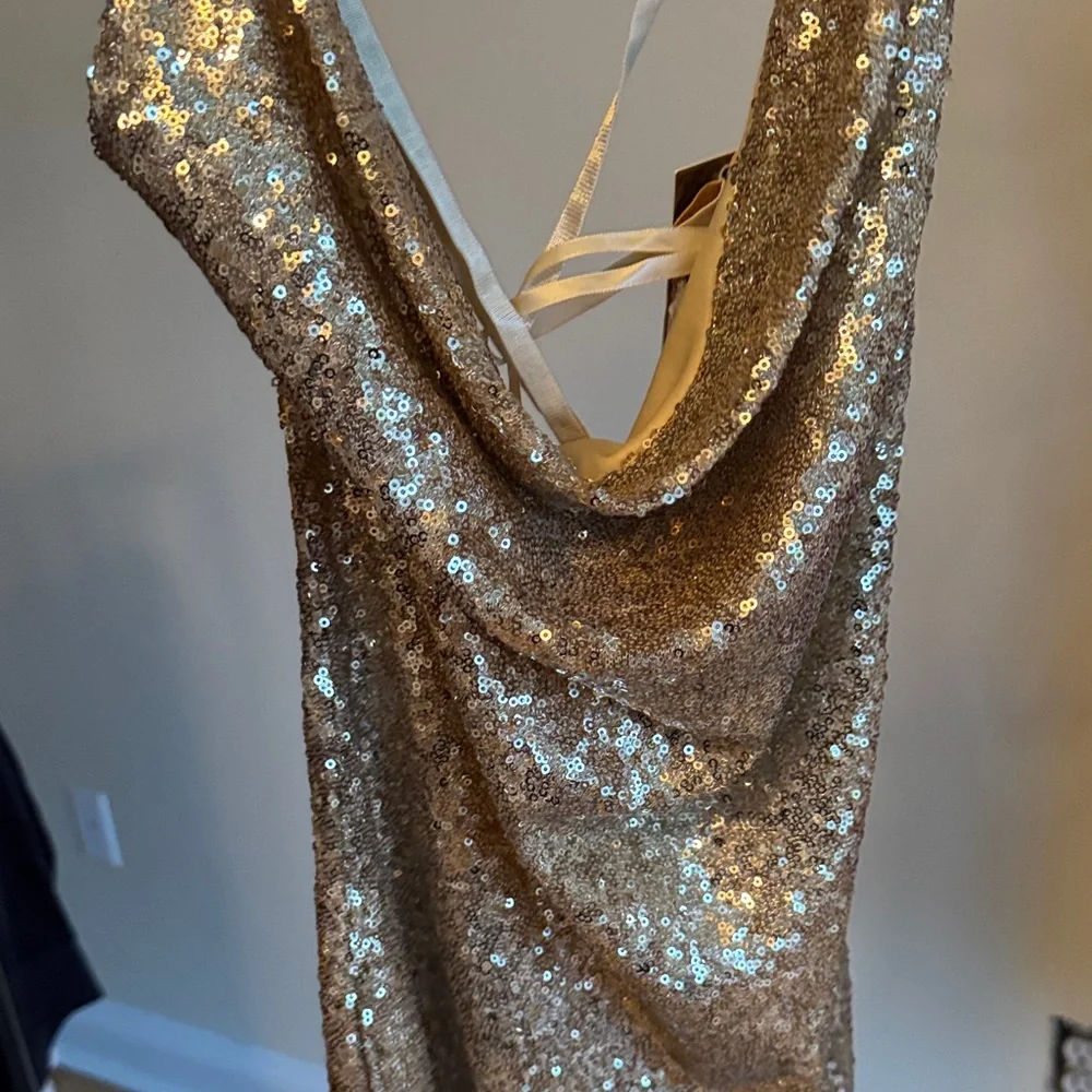 Gold Sequin Dress - Picture 9 of 9